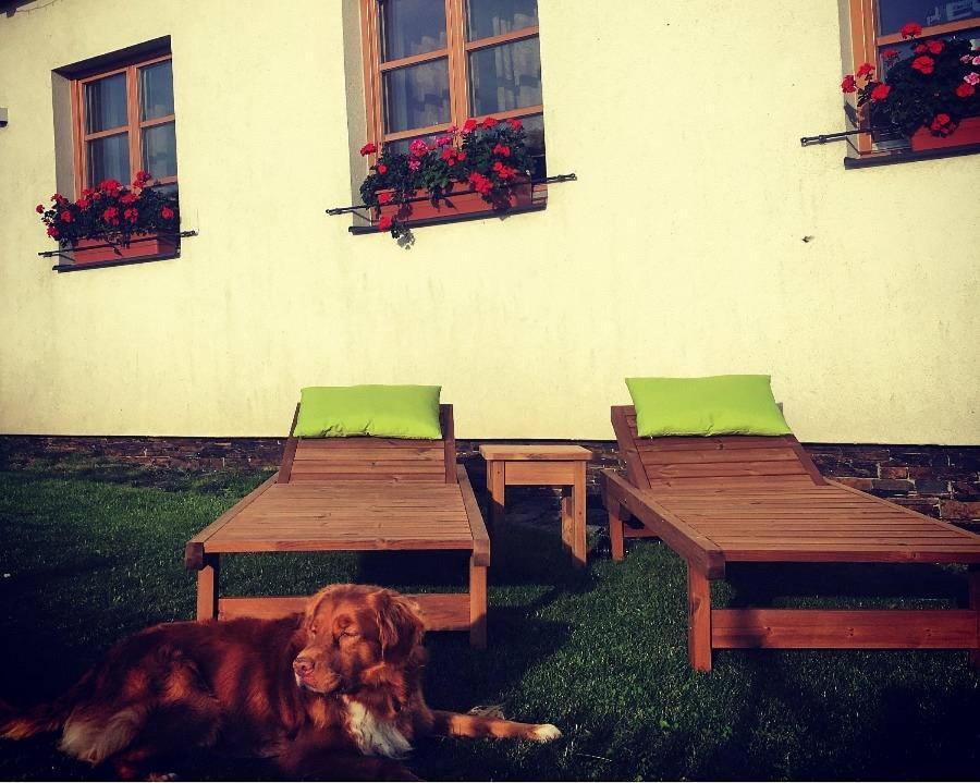 Horsky Apartman Zvonicka Rejviz Luaran gambar